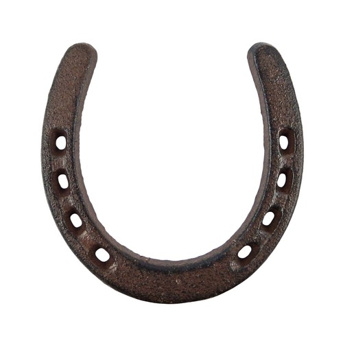 Rustic lucky horseshoe cast - lucky,