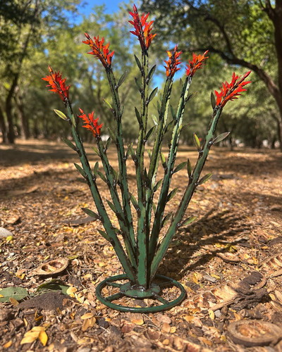 Handmade metal ocotillo - metal,