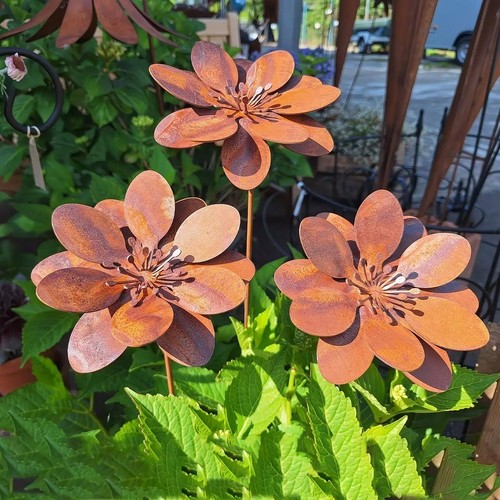 Rustic blooming flower - blooming,